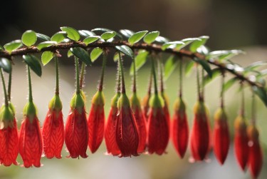 东莞樟木头私人快速借钱网，轻松解决资金难题