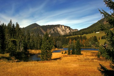 东莞樟木头民间私贷攻略：揭秘低成本借贷的秘密