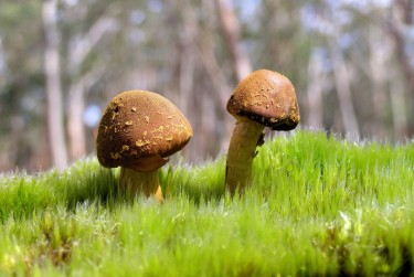 东莞樟木头私人老板放款：轻松融资的秘密通道